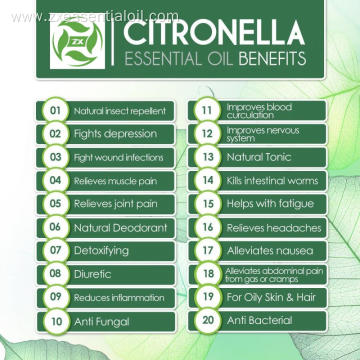 Organic bulk oil wholesale citronella oil